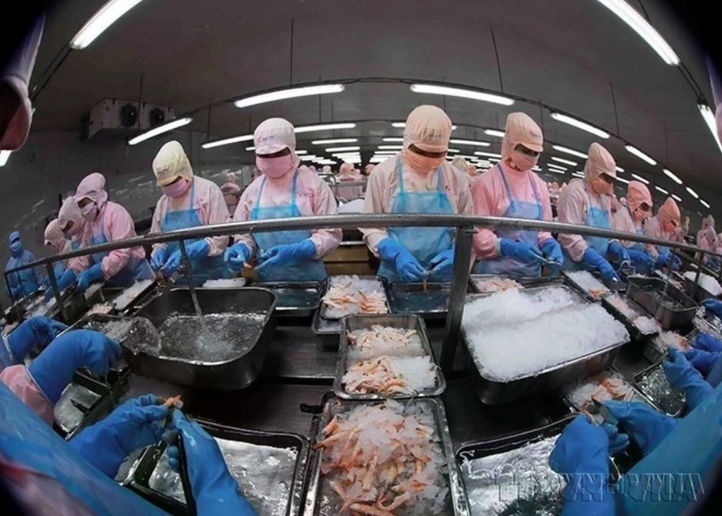 Vietnam secures top five spot in Singapore's seafood market